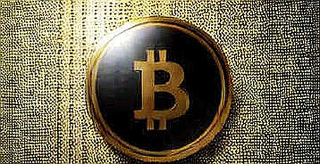 Không Có Chip Vạn Năng: Bài Học Từ Thị Trường AI Cho Crypto Không Có Chip Vạn Năng: Bài Học Từ Thị Trường AI Cho Crypto